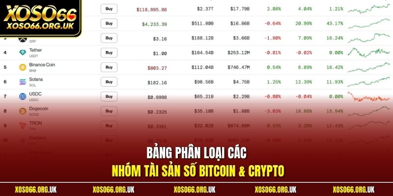 Bảng phân loại các nhóm tài sản số Bitcoin & Crypto