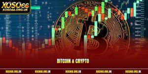 Bitcoin & Crypto