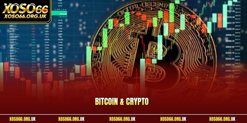 Bitcoin & Crypto