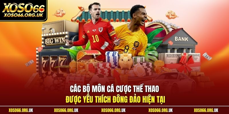 Các bộ môn cá cược thể thao được yêu thích đông đảo hiện tại