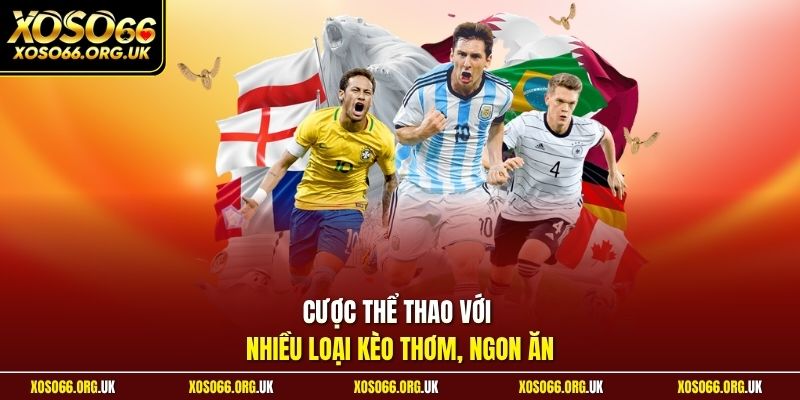 Cược thể thao với nhiều loại kèo thơm, ngon ăn