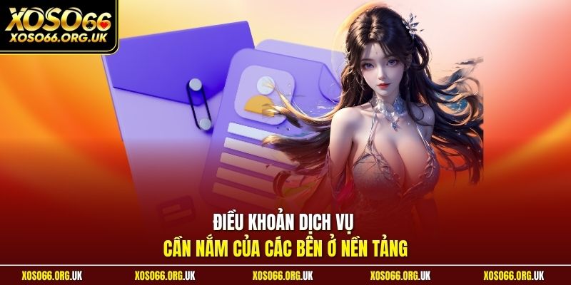 Điều khoản dịch vụ cần nắm của các bên ở nền tảng