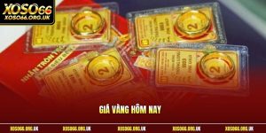 Giá vàng hôm nay